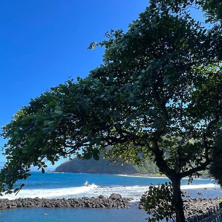 Le Liseron Creole - Entre Terre, Mer Et Riviere - Proche Toutes Commodites แซ็ง-โฌเซฟ ภายนอก รูปภาพ