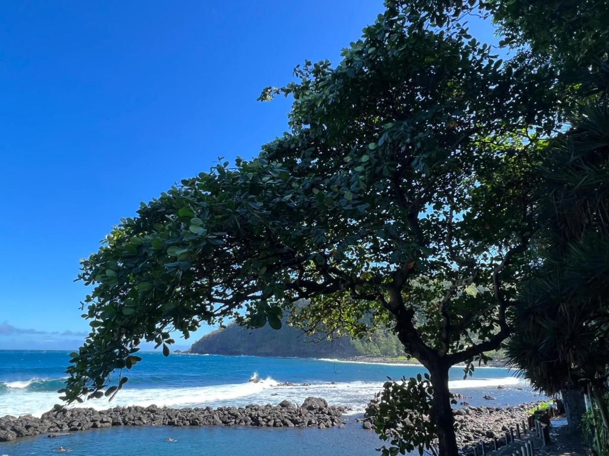 Le Liseron Creole - Entre Terre, Mer Et Riviere - Proche Toutes Commodites แซ็ง-โฌเซฟ ภายนอก รูปภาพ