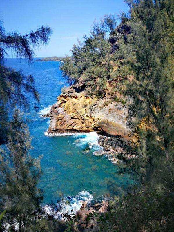 Le Liseron Creole - Entre Terre, Mer Et Riviere - Proche Toutes Commodites แซ็ง-โฌเซฟ ภายนอก รูปภาพ